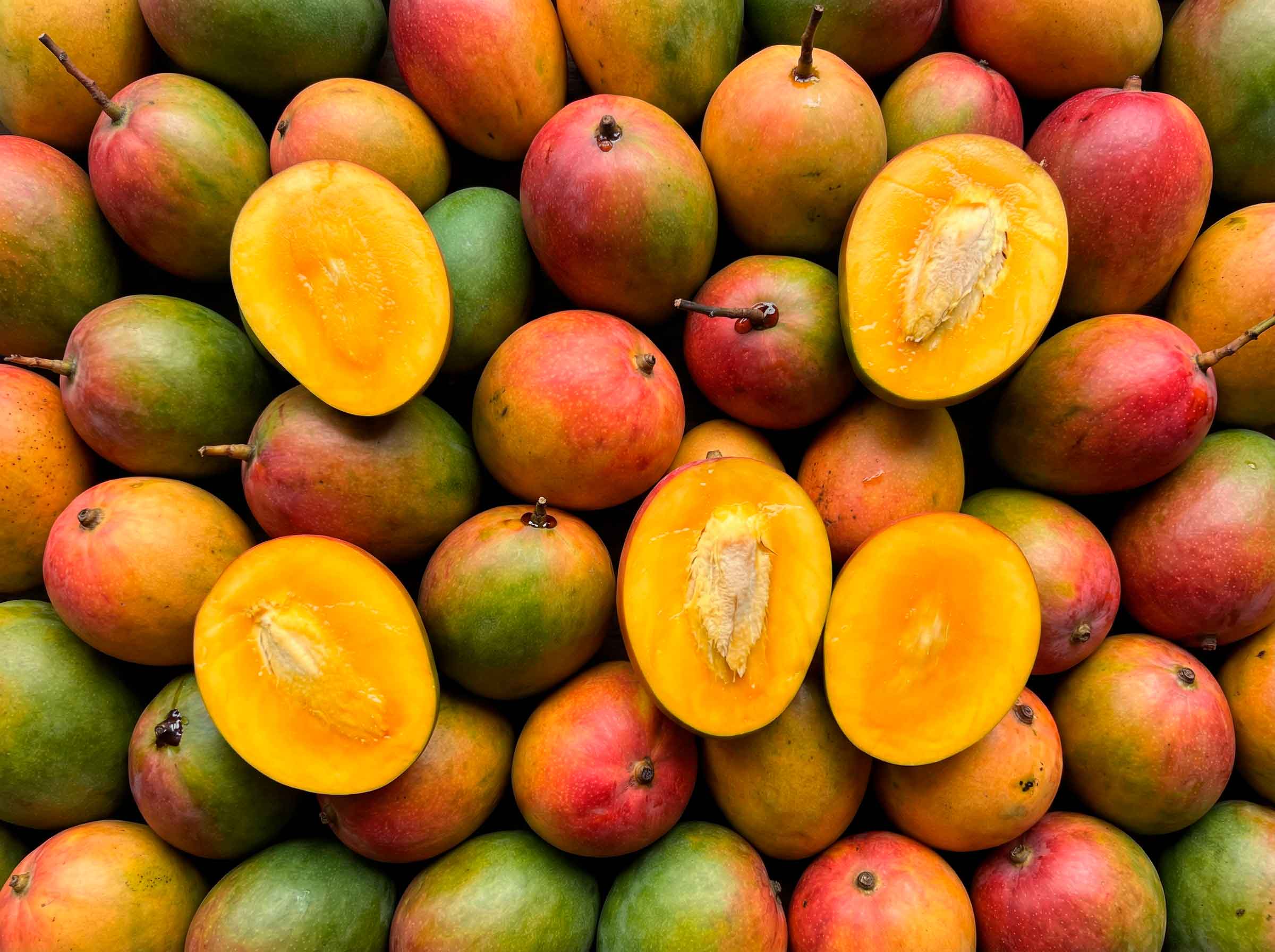 Pulpa de Mango Frutabuela